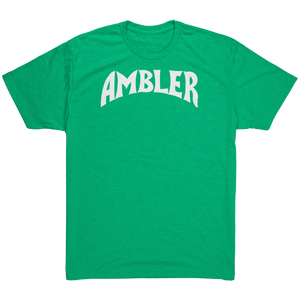 Ambler_Next_Level_Triblend_T-Shirt_Envy_Mockup.png