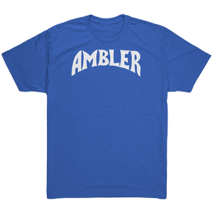 Ambler_Next_Level_Triblend_T-Shirt_Vintage_Royal_Mockup.png