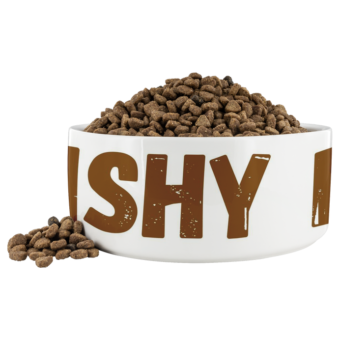 Conshy Pup Dog Bowl